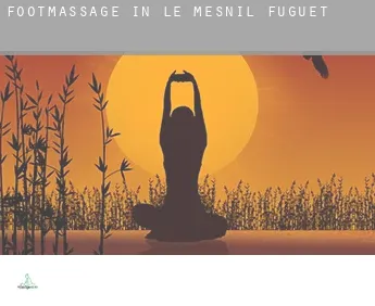 Foot massage in  Le Mesnil-Fuguet